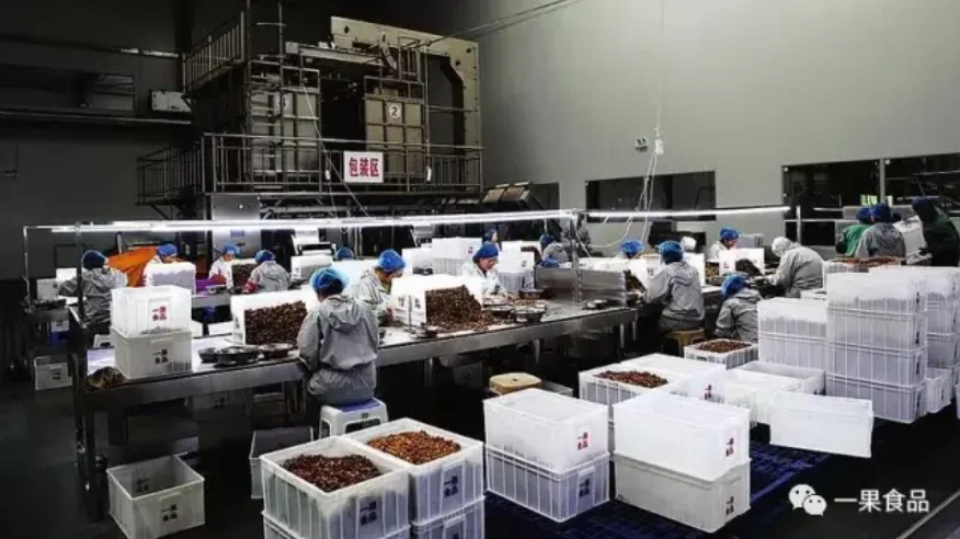 Оптовая продажа, Лидер продаж, высококачественные ядра грецких орехов