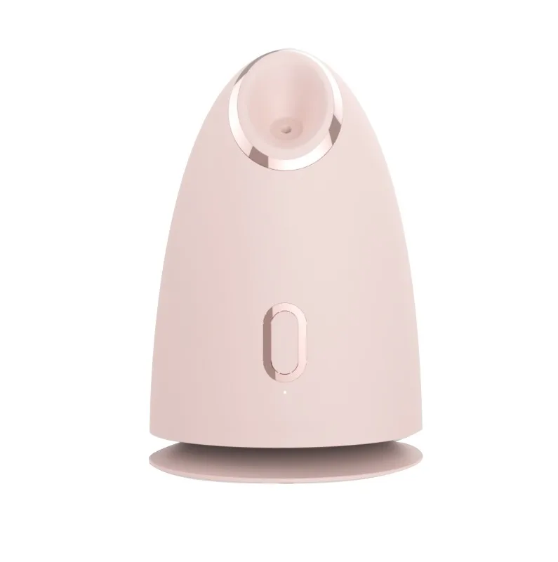 Electric Beauty Apparatus Skin Care Handheld Facial  Face Steamer Mobile Humidifier Facial Humidifier Spray Moisturizer