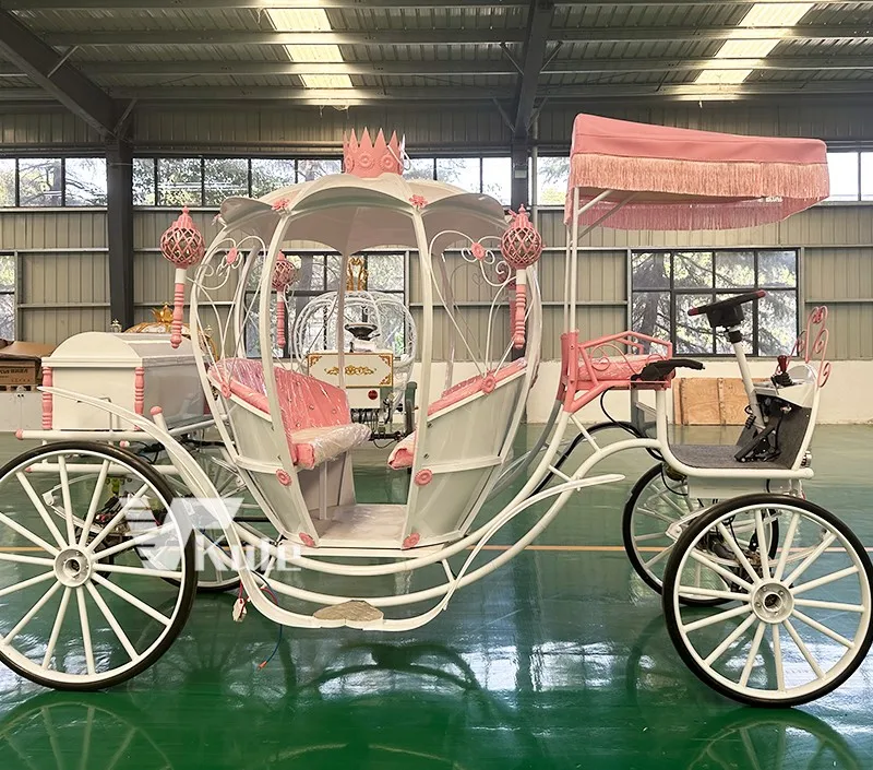 Premium Wedding carriage for prom Cinderella pumpkin horse-drawn carriage for Princess Latest electric horseless Carriage