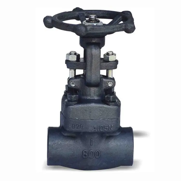 Threaded and SW Socket Weld Gate Valve Stainless Steel Forged Steel A105 F6a API 602 OS&Y CL150 Material Female Black Pipe OEM