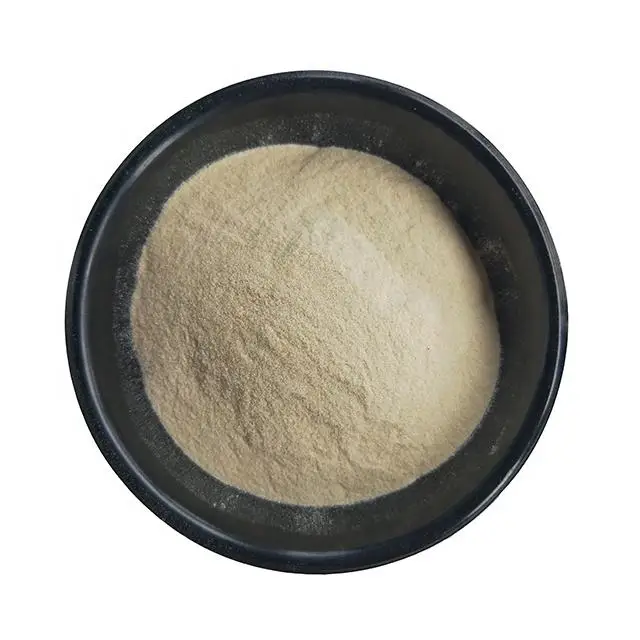 Wholesale Price Food Grade Stabilizing Agent Thickener Xanthan Gum
