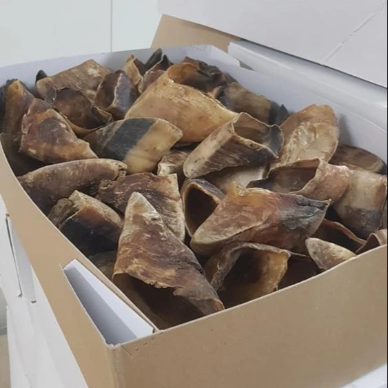 Горячая Распродажа Высококачественная замороженная копыта для крупного рогатого скота