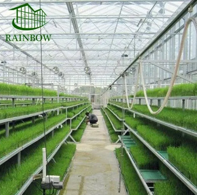 
Low Cost Polycarbonate Venlo Multi Span Agriculture Tomato Greenhouse with Long Service 