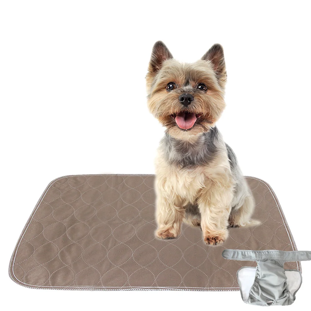 Famicheer BSCI dog and puppy pee potty training pads reusable pee pad for dogs 60 x 60cm