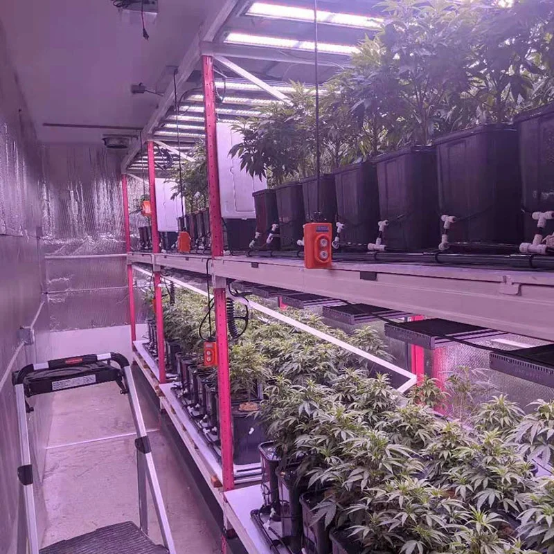 Growbox Вертикальная сельскохозяйственная гидропонная система 40ft контейнер для