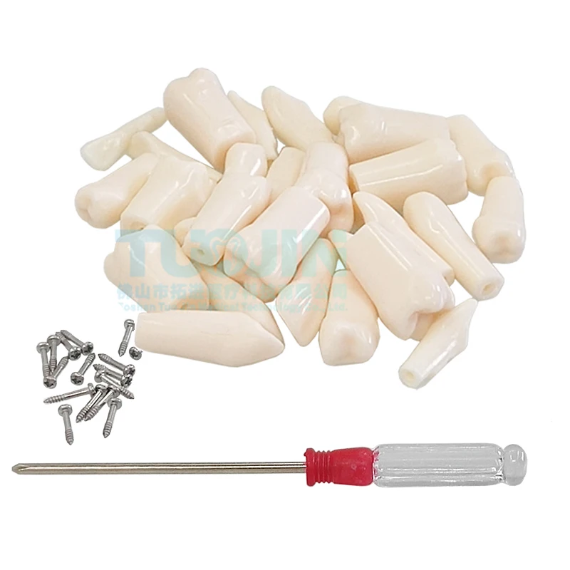 Denture Resin Gum Shade Machine Dental Acrylic Teeth Resin Teeth  Dental Denture Base Material Acrylic Resin Powderd