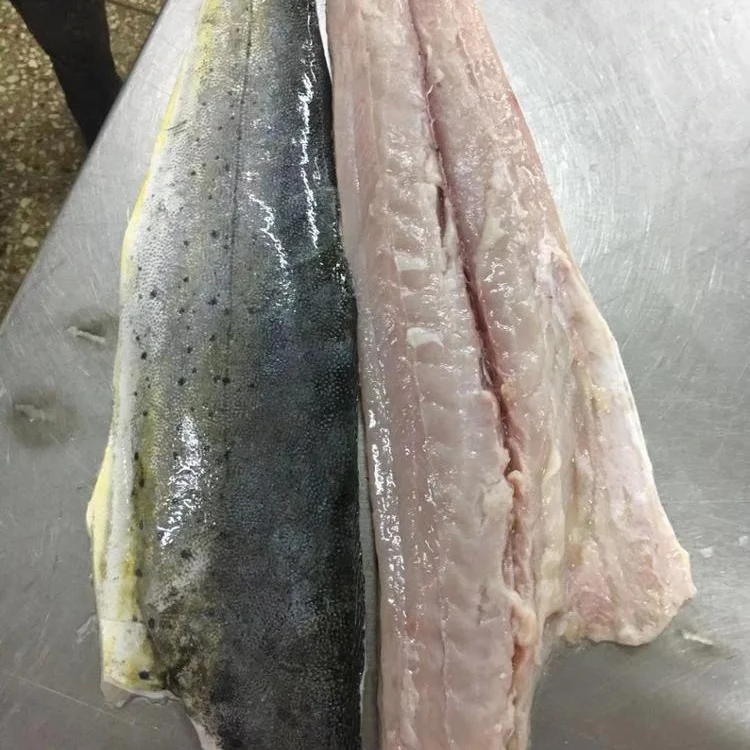 Frozen Mahi Mahi Fillet Good Sale from Indonesia