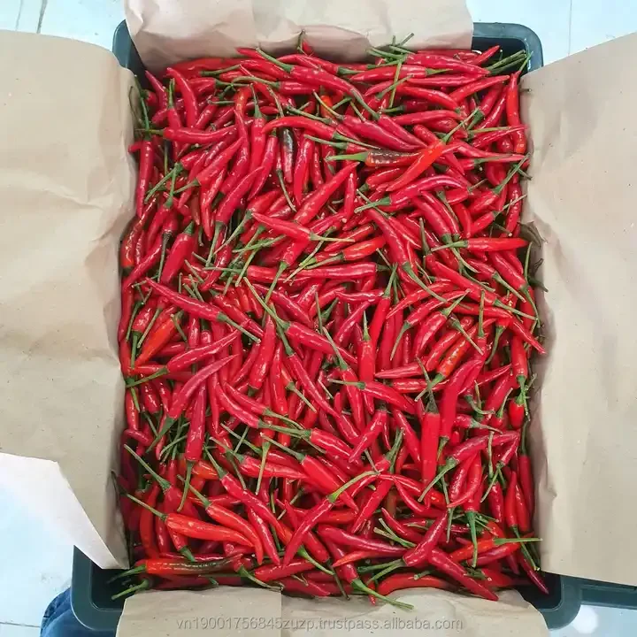 100% Factory Price Top Quality Chili Powder/Sliced/Ring Best Natural Chili Sauce Red Chili