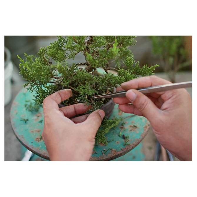 Hand bonsai tools stainless steel spatula with durable quality