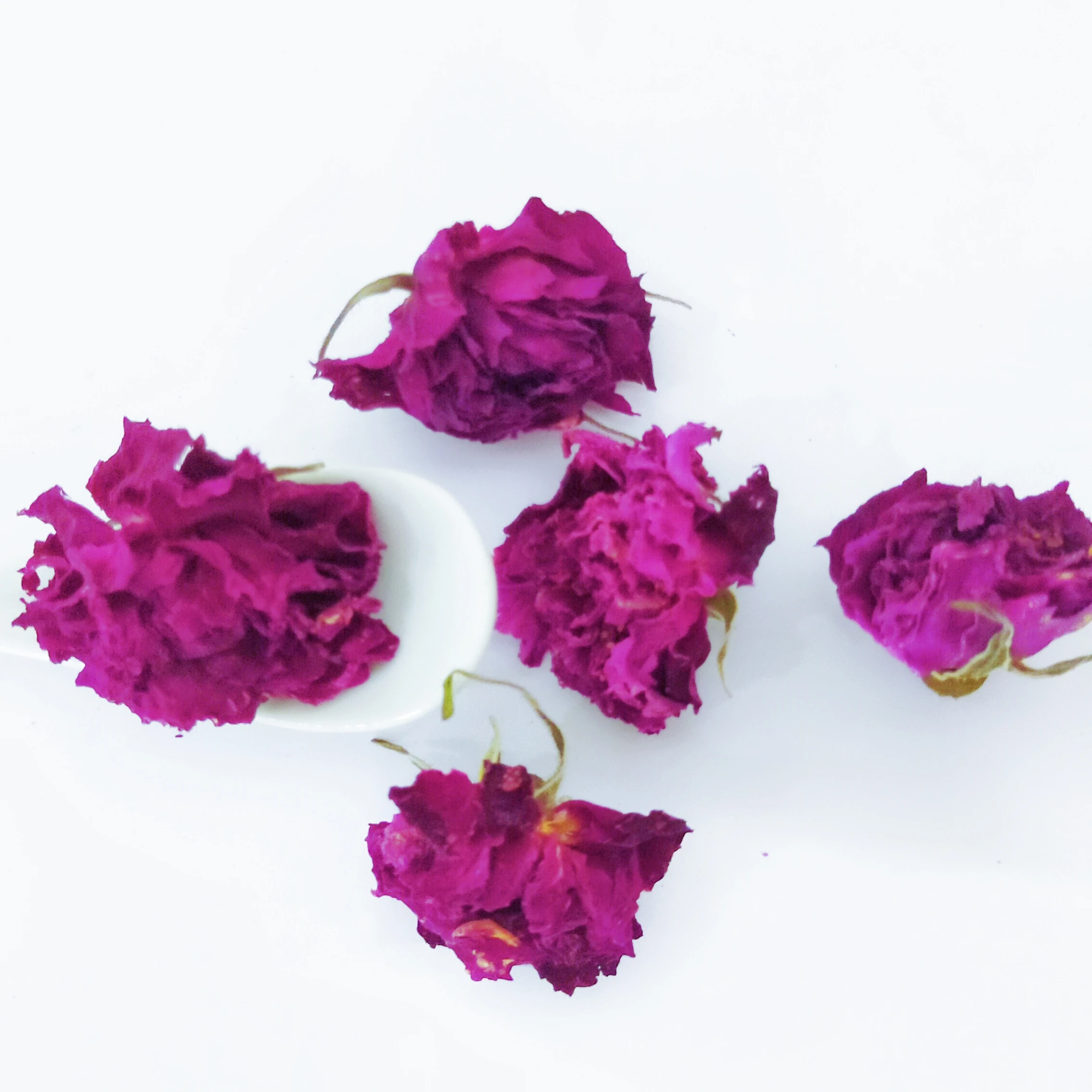 High Quality Oganic Flavor Rose Flower  Material Shelf Natural Blooming Tea