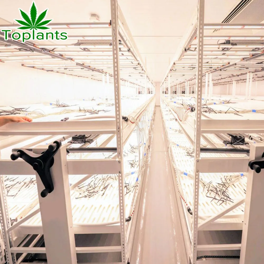 Multi-Tier Mobile Grow Racks Vertical Hydroponic Growing Systems