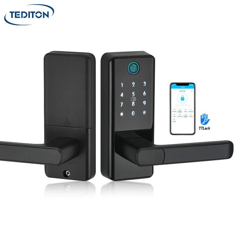 Tediton China Supplier Waterproof Digital Cerradura Rfid Card Front Door Lock with Google Home