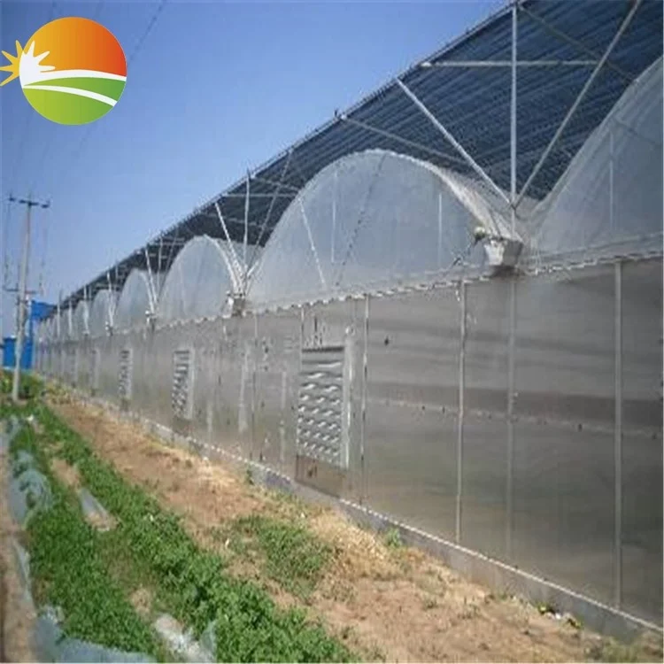 Agricultural greenhouse price wholesale low cost multi-span plastic greenhouse