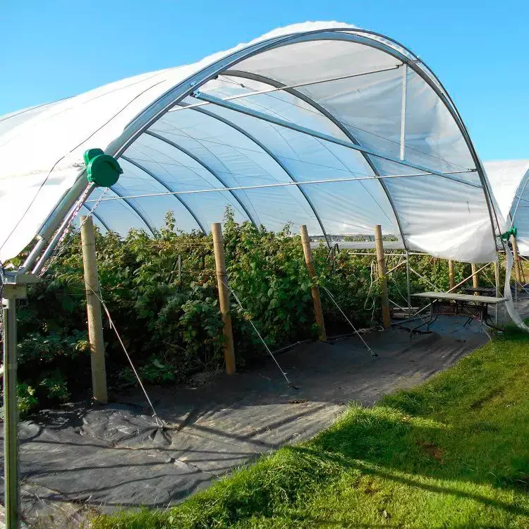 Sainpoly Heavy commercial greenhouse 4 season For Agricultural Blueberry Strawberry Farming Tunnel Greenhouse