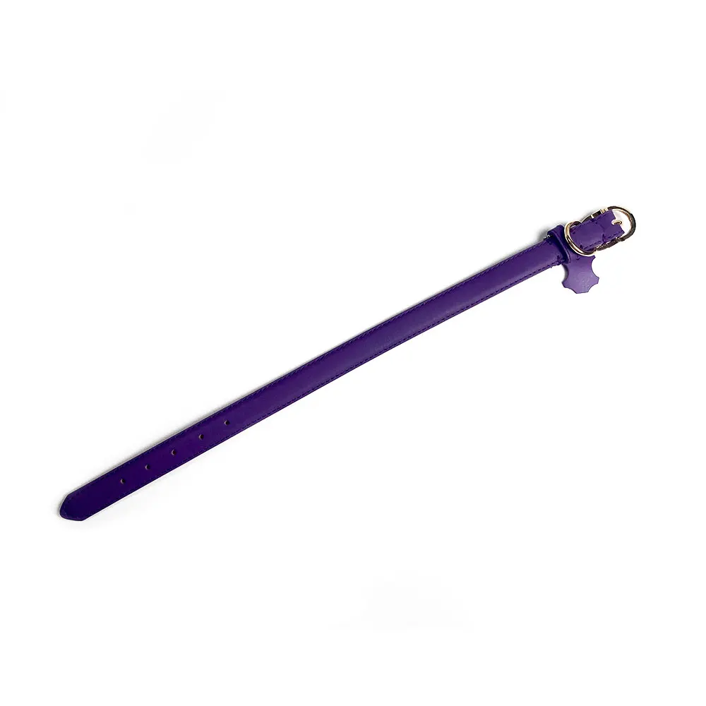 Wholesale fashion popular Pet Waterproof New style Leopard PU leather Dog Collar