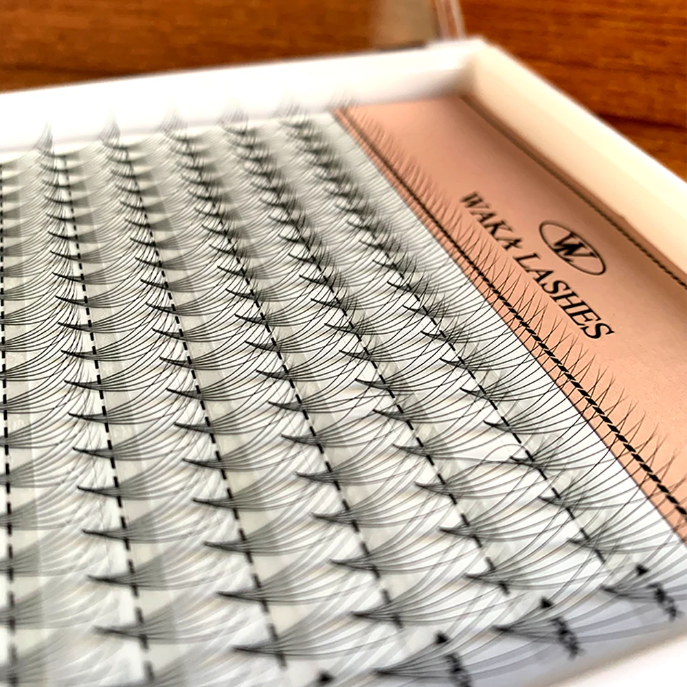 Pre made fans pre made lash extension supplies pre made fan 2d 3d 4d 5d 6d 8d and 10d korean eyelash extensions supplies