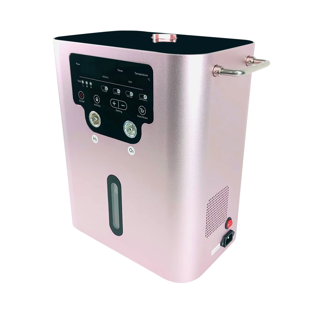 Hydrogen Rich Water Generator Water Electrolysis Ionizer Pure H2 Japanese Hydrogen Generator Machine