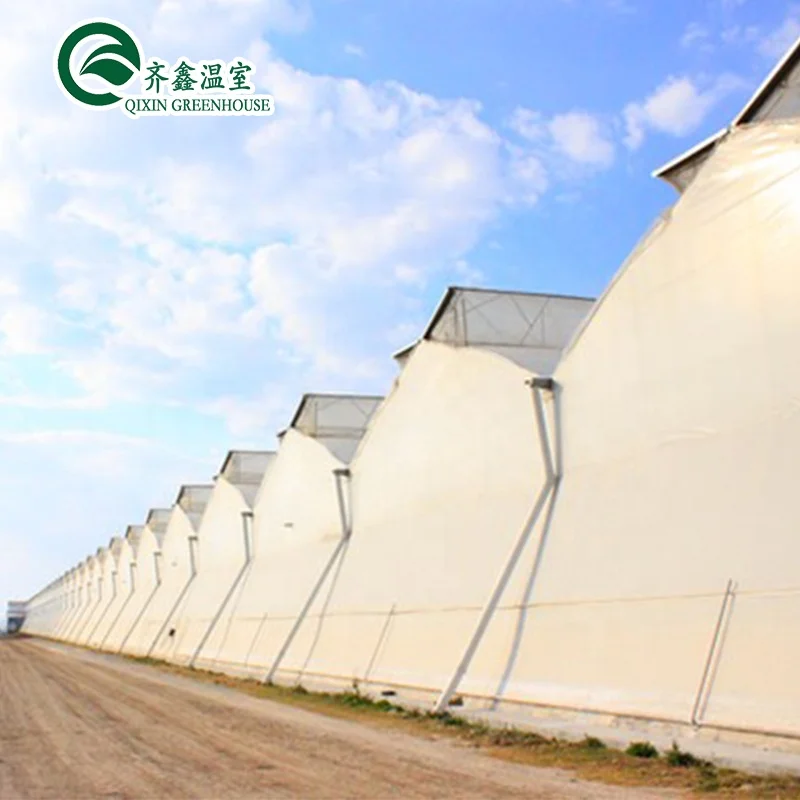 greenhouse aquaponics hydroponic growing systems