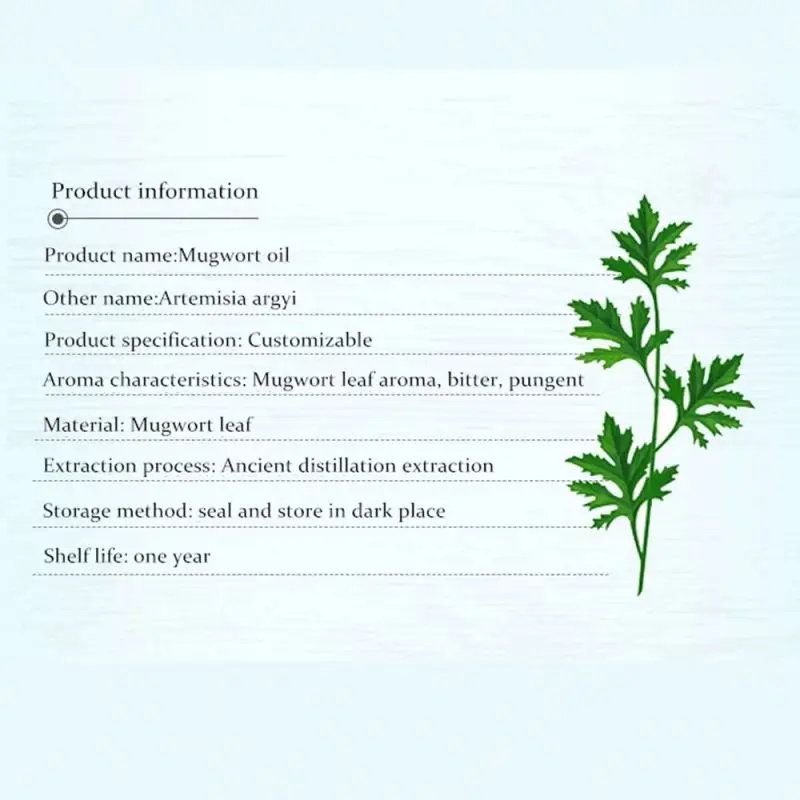 100% Pure Natural Essential Oil Mugwort Oil Artemisia Vulgaris Oil