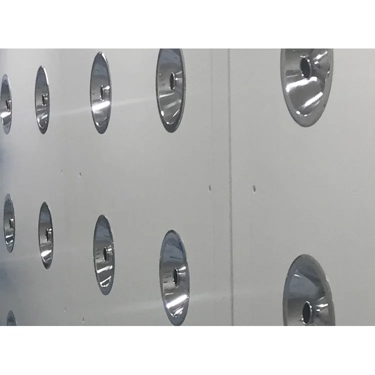 Abnormity Air Shower Room For GMP Standard Factory