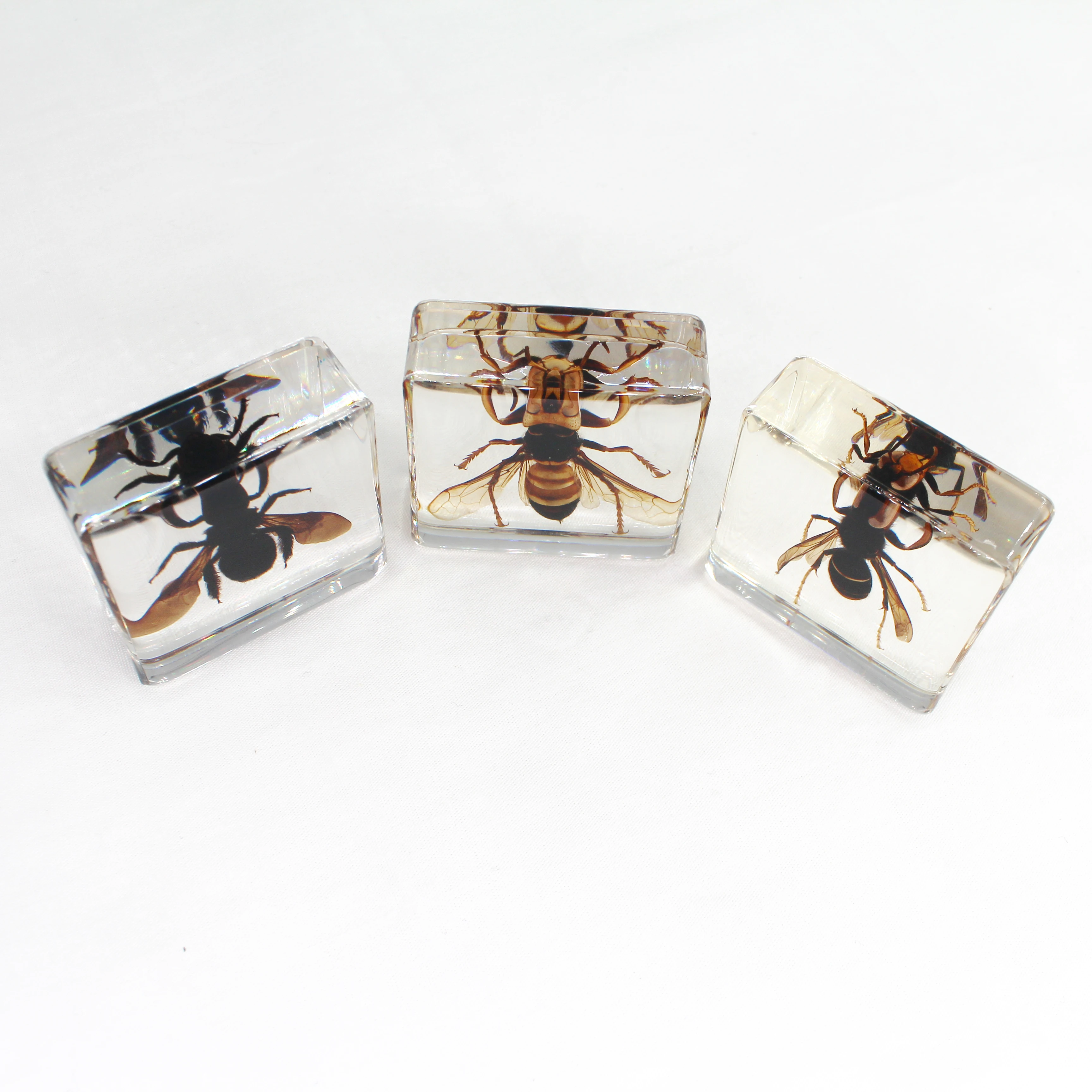 Хранение красоты природы, «насекомые в смоле», подарок на день рождения, образцы настоящих насекомых