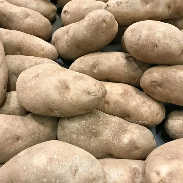 
Fresh Potato 