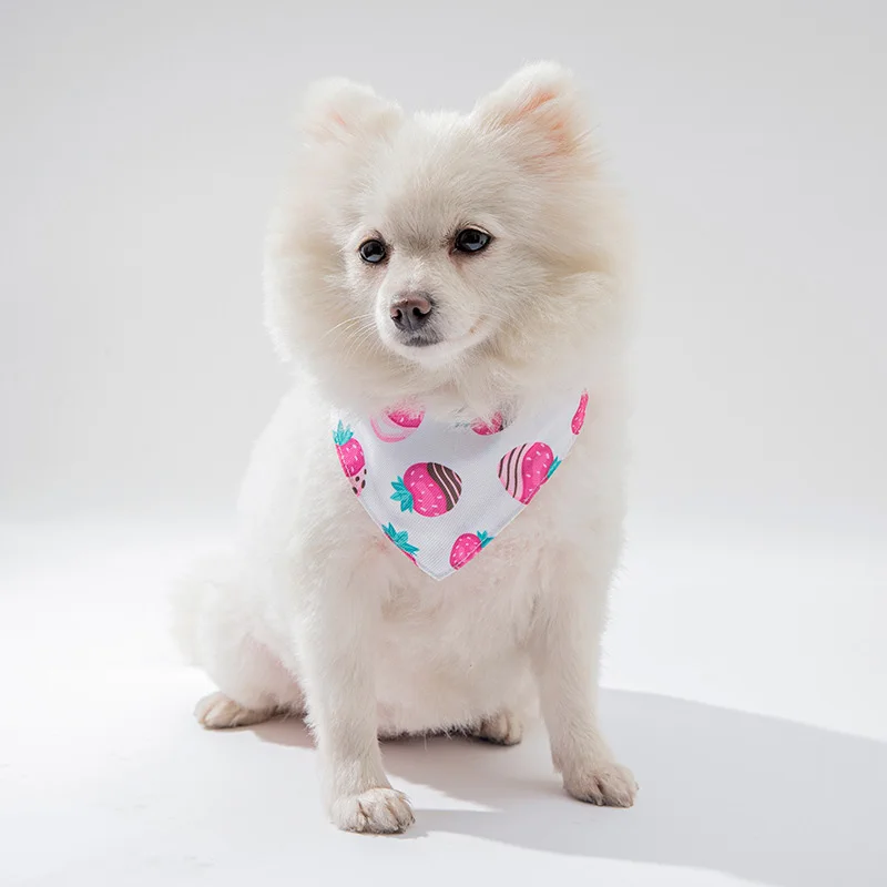Pet Clothing and Accessories: Dog Bandana, Pet Triangle Saliva Towel, and Dog Accessories