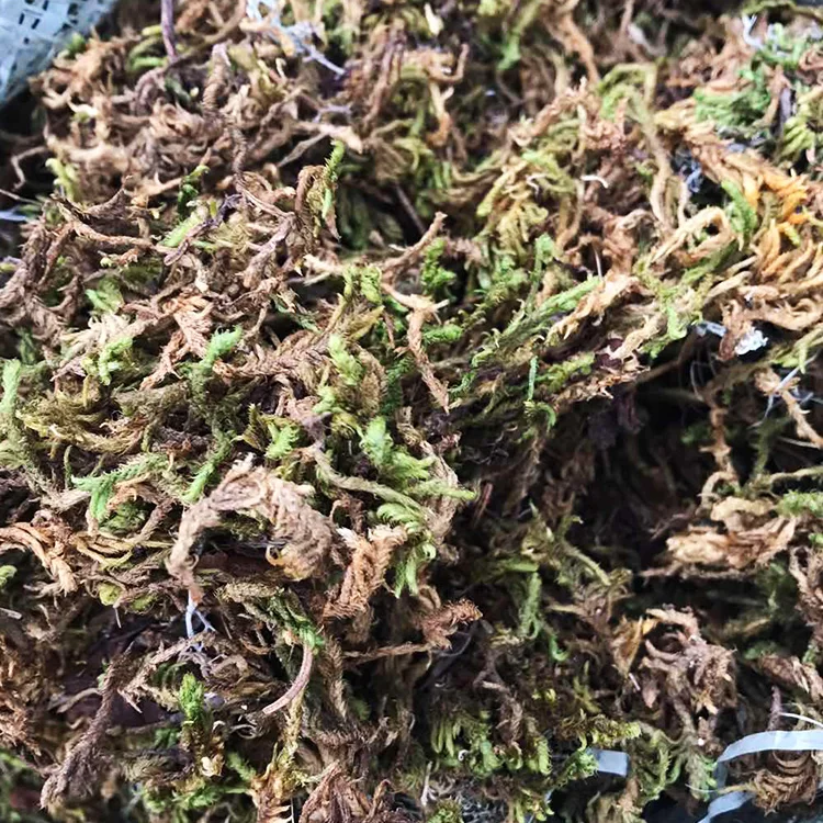 High Quality Artificial Landscaping Garden Decoration Artificial Grass Moss