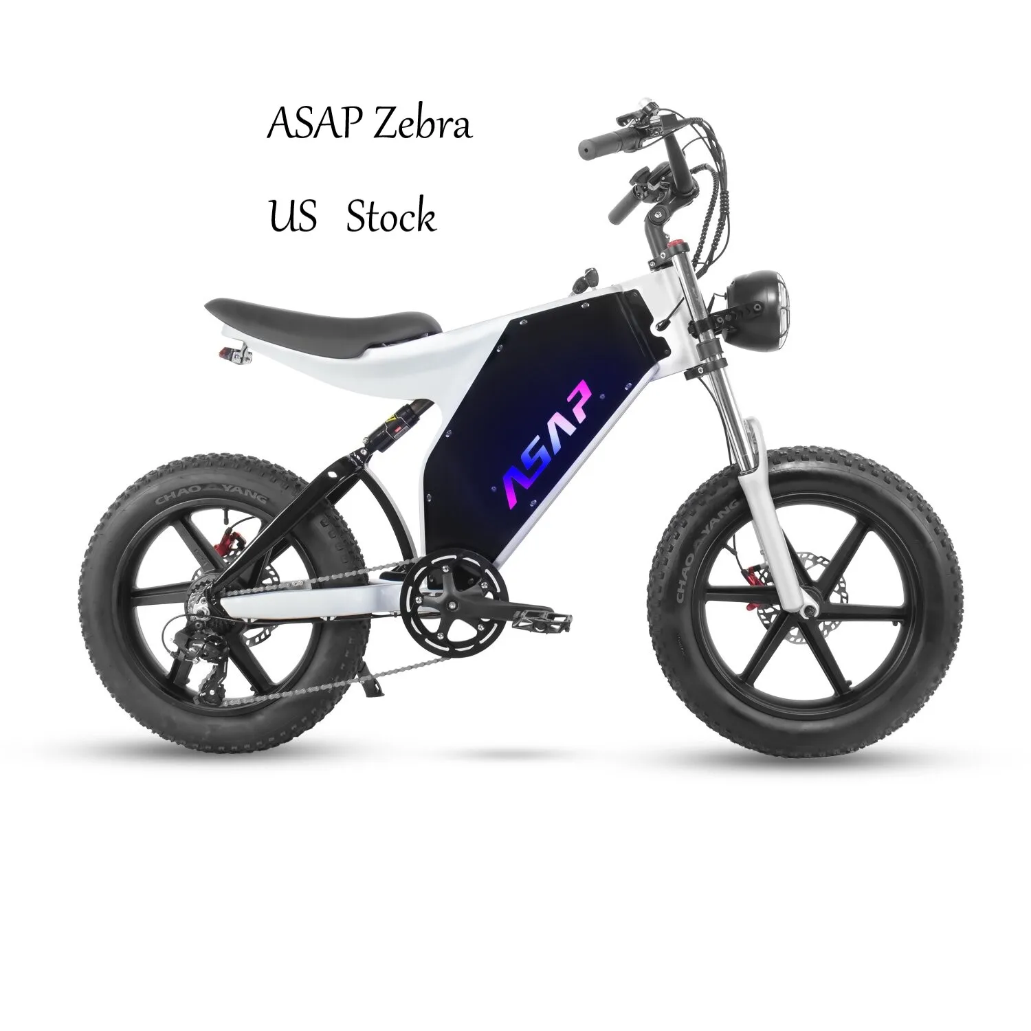 2024 новая модель ASAP Zebra 1000 Вт мотор 20-дюймовое светодиодное освещение двухколесный Электрический горный велосипед для взрослых