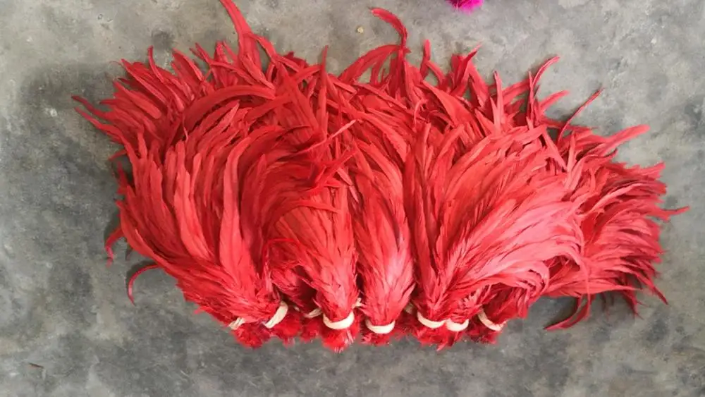 16-18 inch ( 40-45 cm) Long Rooster Tail Feathers for sale