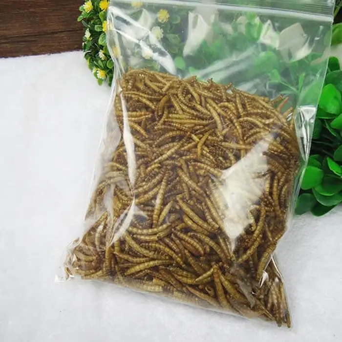 Chinese factory made pet poultry feed freeze dried mealworms wholesale dried mealworms dried superworm