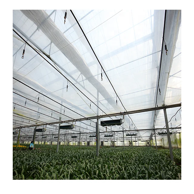 Wholesale Intelligent Climate Control System Glass Dome House Glass house Other Greenhouses For Vegetables/Flowers