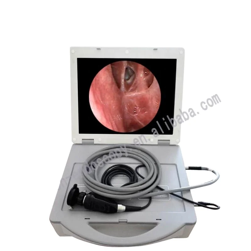 DELON SD card portable CCD camera system delon endoscopy