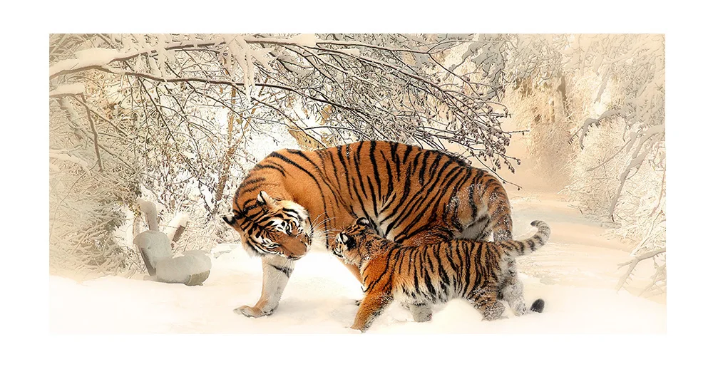 Summer Quick Dry Microfiber Beach Towel Custom Sublimation Printed Beach Towels With Logo