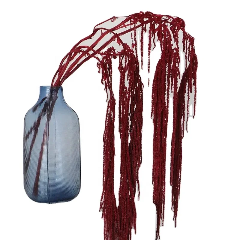 Natural Preserved amaranthus,  long string grains flower for wedding wall hanging decoration