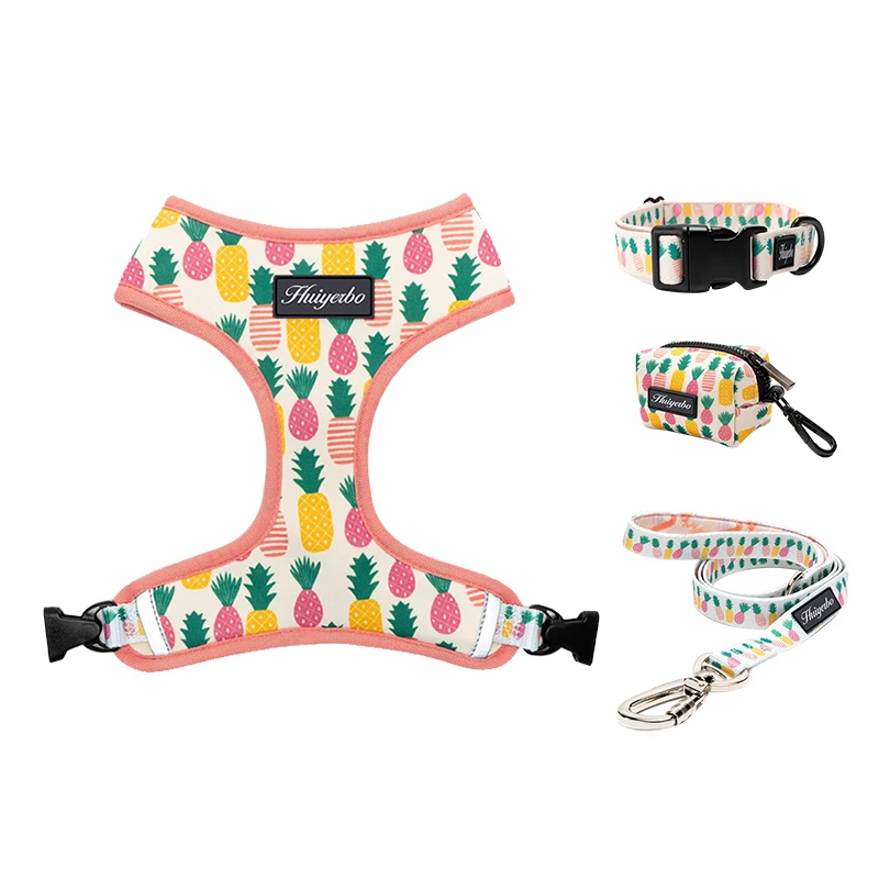 Модный дизайнерский Регулируемый мягкий Регулируемый ошейник для щенка с цветочным принтом, дизайнерская Роскошная шлейка и поводок для собак