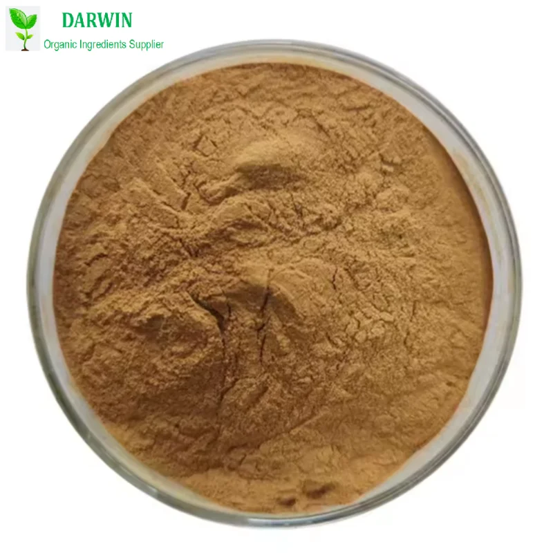Pure Organic Green Tea Extract Powder green tea polyphenols instant green tea extract