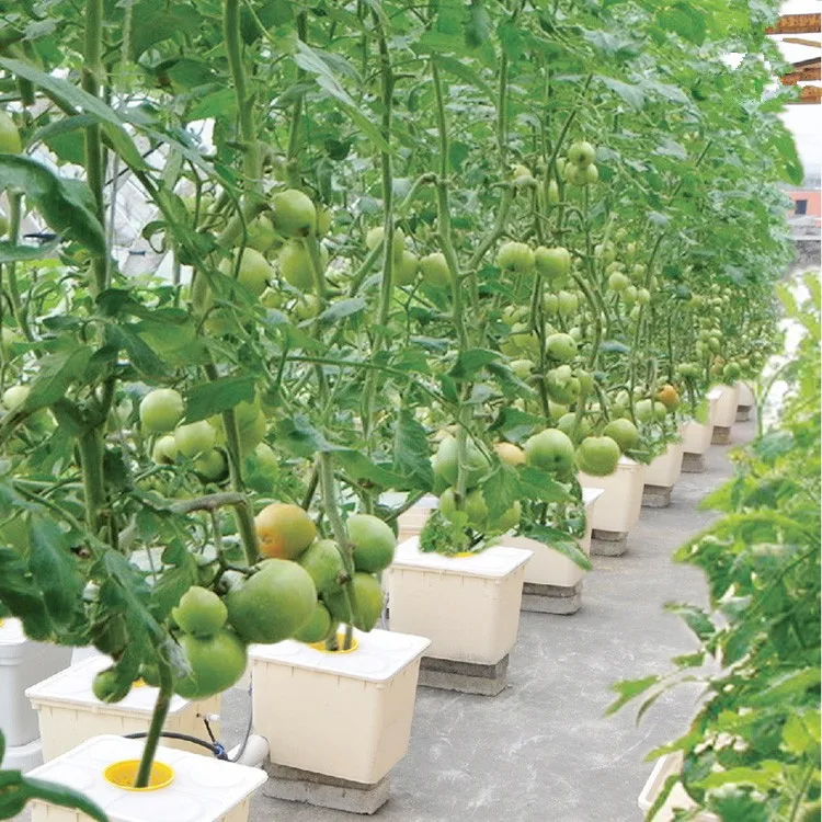 Soilless Cultivation Indoor Hydroponic Seeding Dutch Flower Bucket Dutch barrels HL planting barrels for Blueberries/pepper