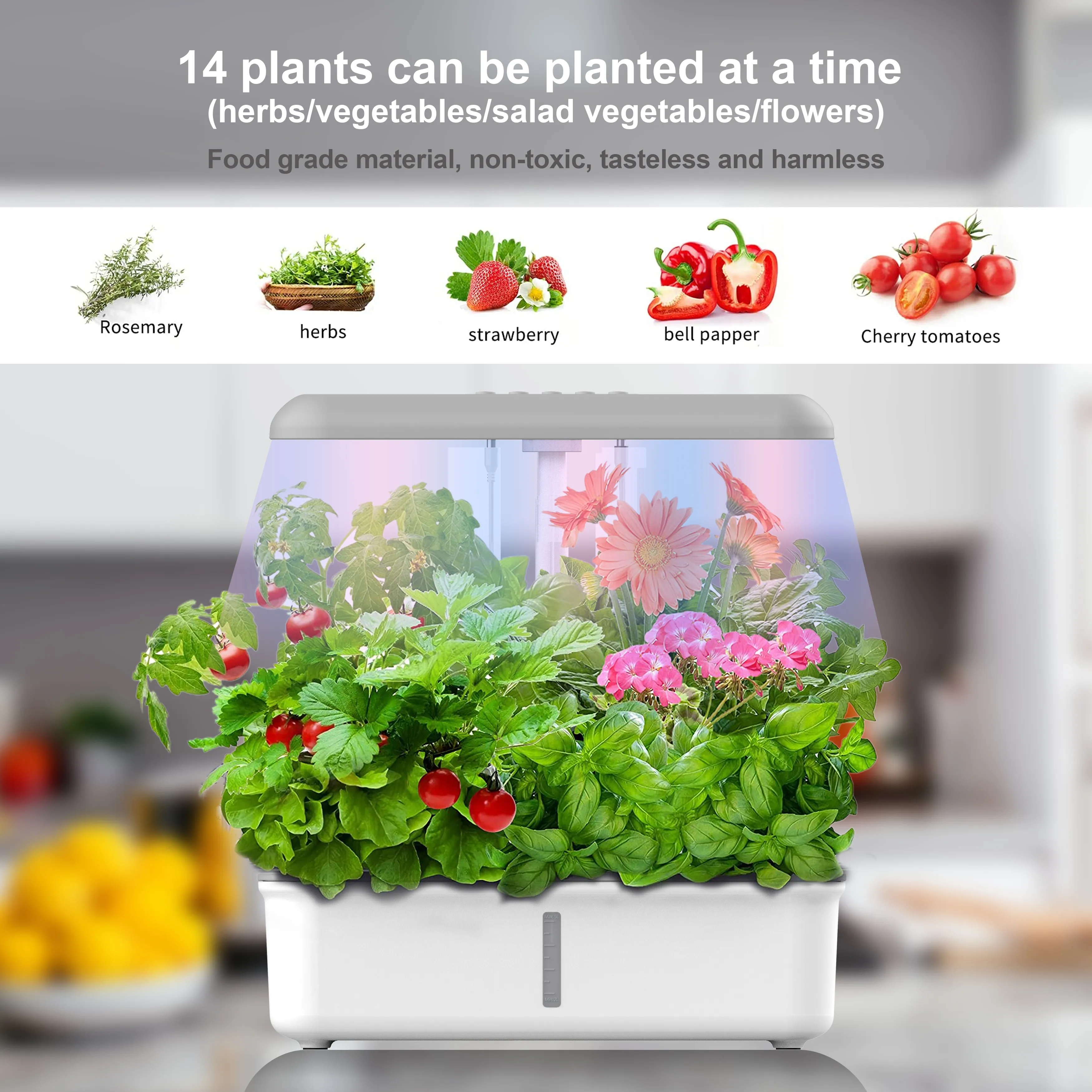 Plant grow light Rosemary Oxygenation & Water Cycle cultivate timer art room smart indoor garden aquaponics hydroponics system