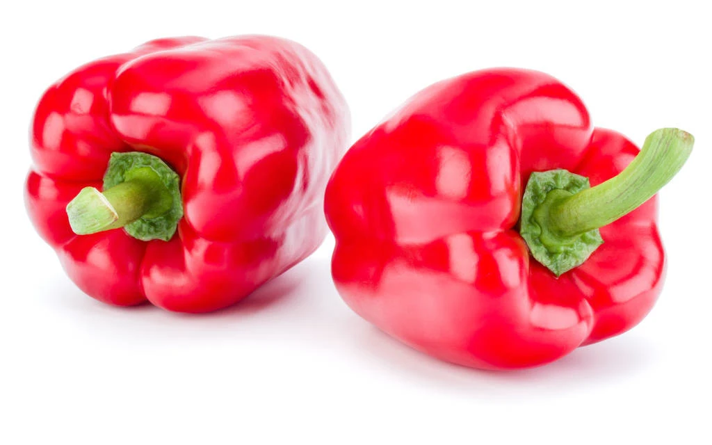 
Suntoday Red sweet bell pepper Capsicum chilli seeds 10gr/bag 
