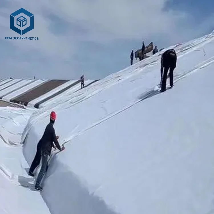 High Strength 6m Width Nonwoven HDPE 250g m2 Polyester Geotextile Fabric for Dams and Reservoirs in Indonesia