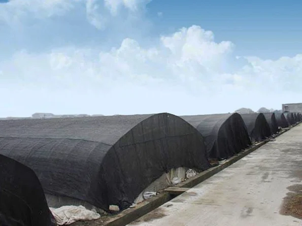 Anti-UV 6 feet x 50 feet Privacy Screen Fence Heavy Duty Fencing Mesh Shade Net Cover for Wall Garden Yard Backyard