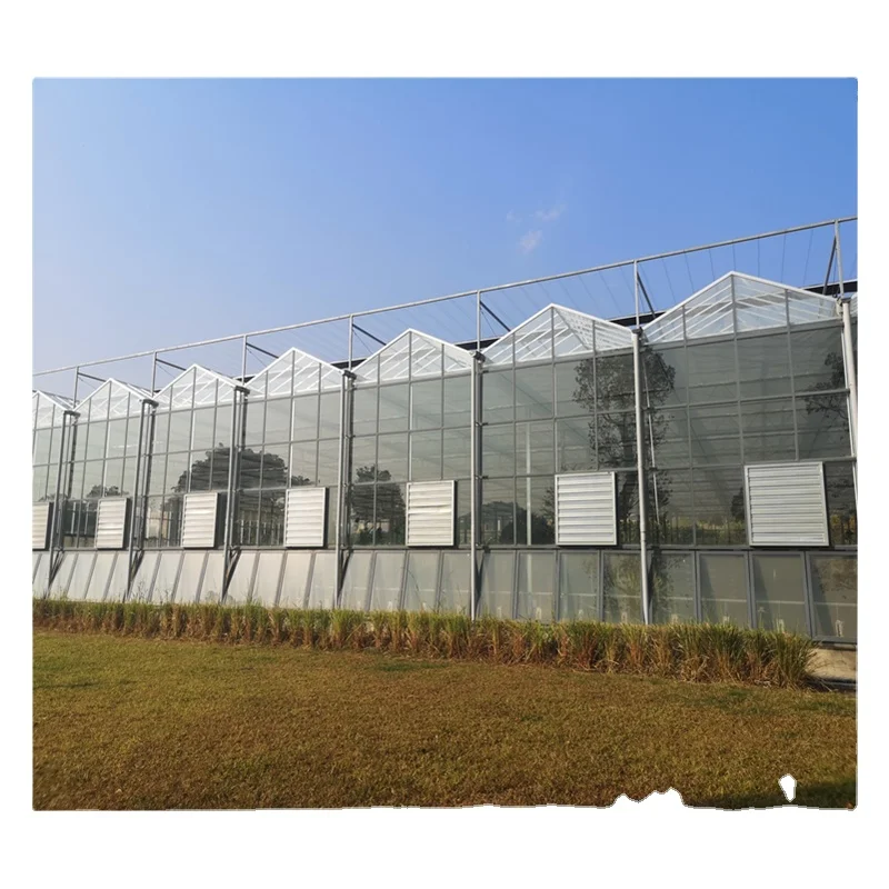 agriculture greenhouse guangzhou growing towers vertical garden hydroponic system
