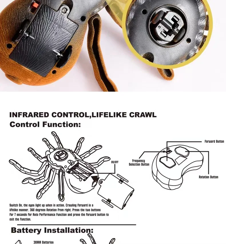 remote spider (16).jpg