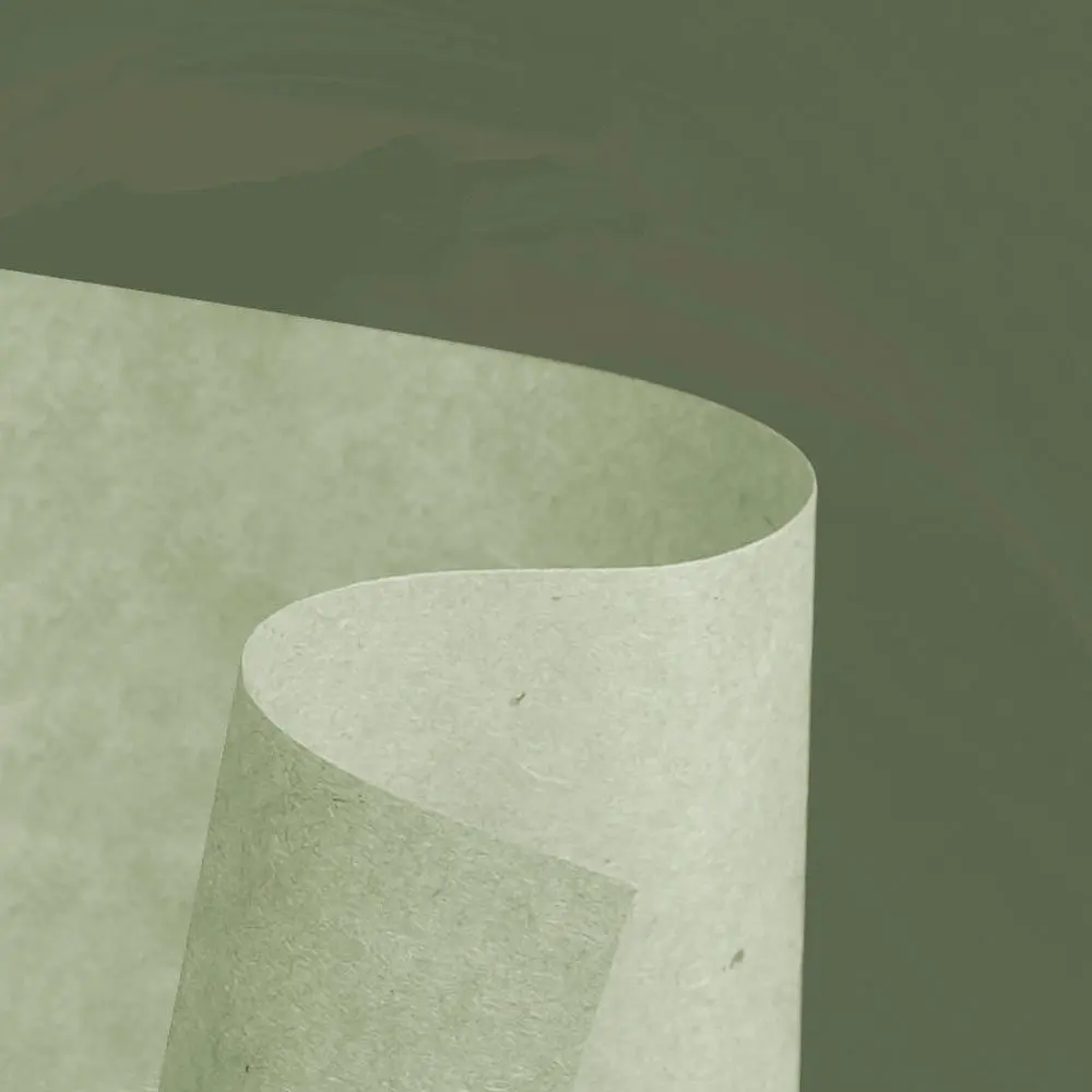 Oil Blotting Paper (5)