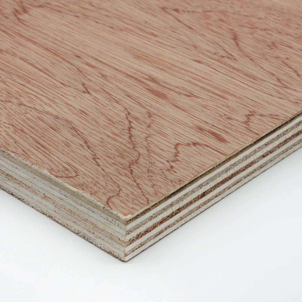 1200x2400mm 3mm -25mm Okoume bintangor pine birch poplar eucalyptus hardwood Plywood For Furniture