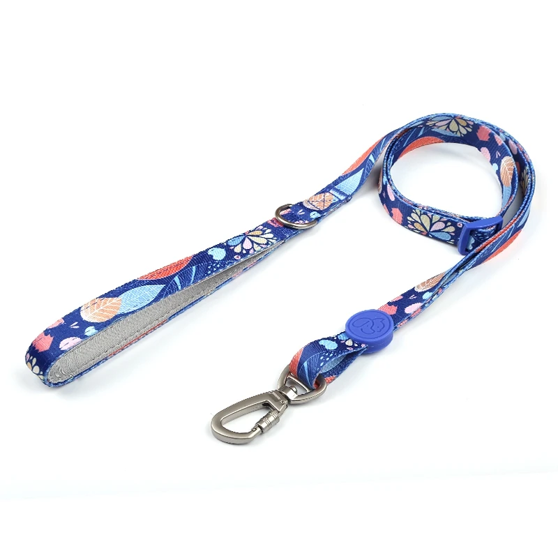 quick release metal buckle dog polyester unique pet leash set design personalize