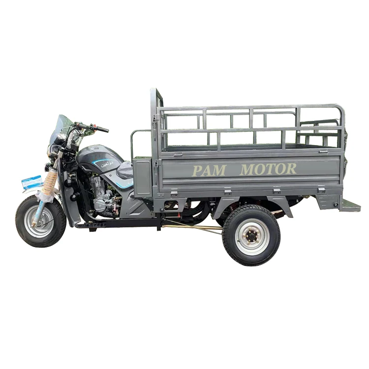 Factory price cargo type gasoline three wheel tricycle motorcycle