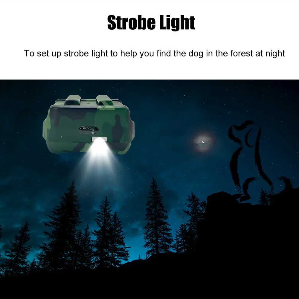 strobe ligh to find dog.jpg