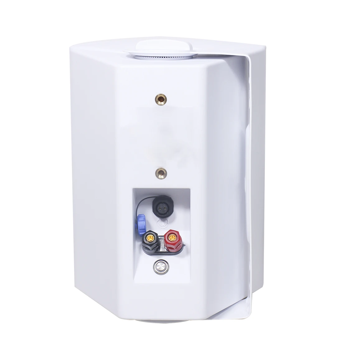High output 60W built in amplifier active outdoor bluetooth wall speaker